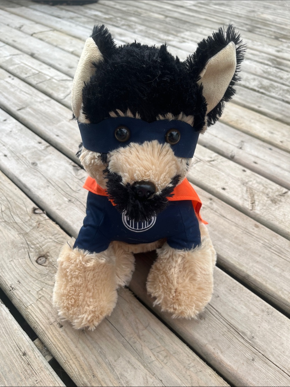 NHL Edmonton Oilers Plush Superhero Dog Souvenir